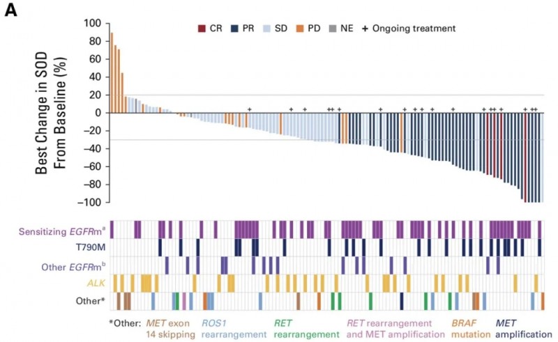 德达博妥单抗总体客观缓解率