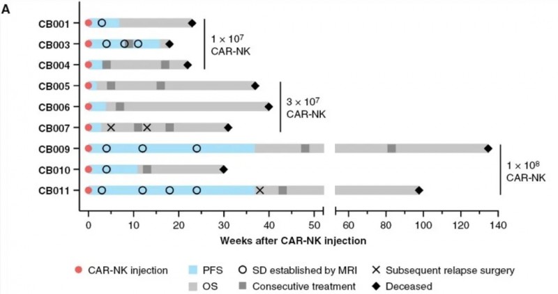 CAR-NK治疗胶质母细胞瘤的总生存期数据