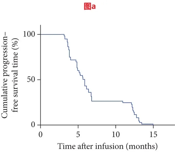 TIL细胞疗法联合PD-1治疗骨肉瘤的中位无进展生存期