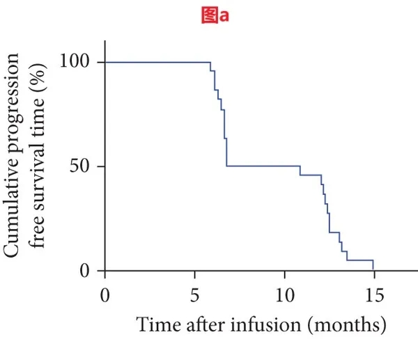 TIL细胞疗法联合PD-1治疗骨肉瘤的中位无进展生存期