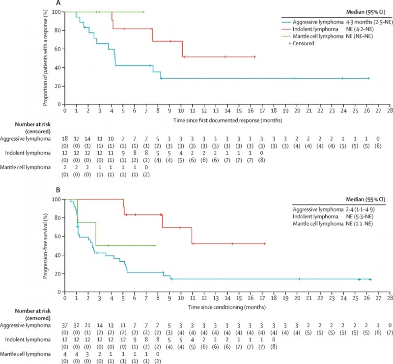 FT516NK疗法治疗数据