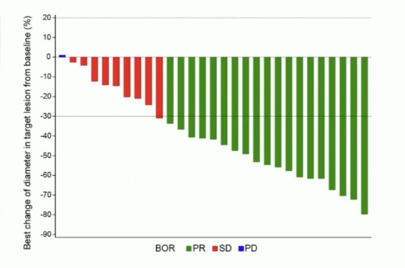 HRS-4642治疗胰腺癌的数据
