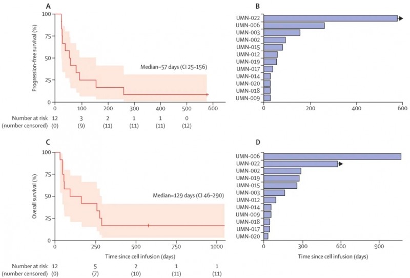 CRISPR-TIL细胞疗法治疗结直肠癌的数据