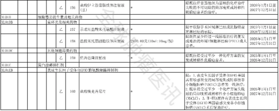 2025年版医保目录协议期内谈判西药部分