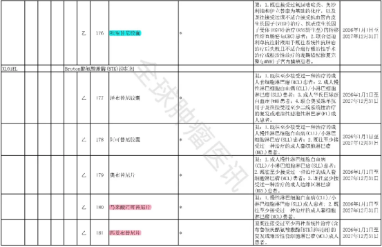 2025年版医保目录协议期内谈判西药部分
