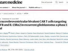 双靶点CAR-T治疗胶质母细胞瘤，62%患者肿瘤消退