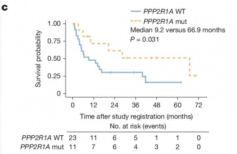CAR-NK细胞疗法治疗数据