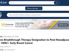 2025年12月22日FDA授予德曲妥珠单抗(Enhertu、DS8201、优赫得、T-DXd、Trastuzumab deruxtecan、fam-trastuzumab deruxtecan-nxki)治疗乳腺癌突破性疗法