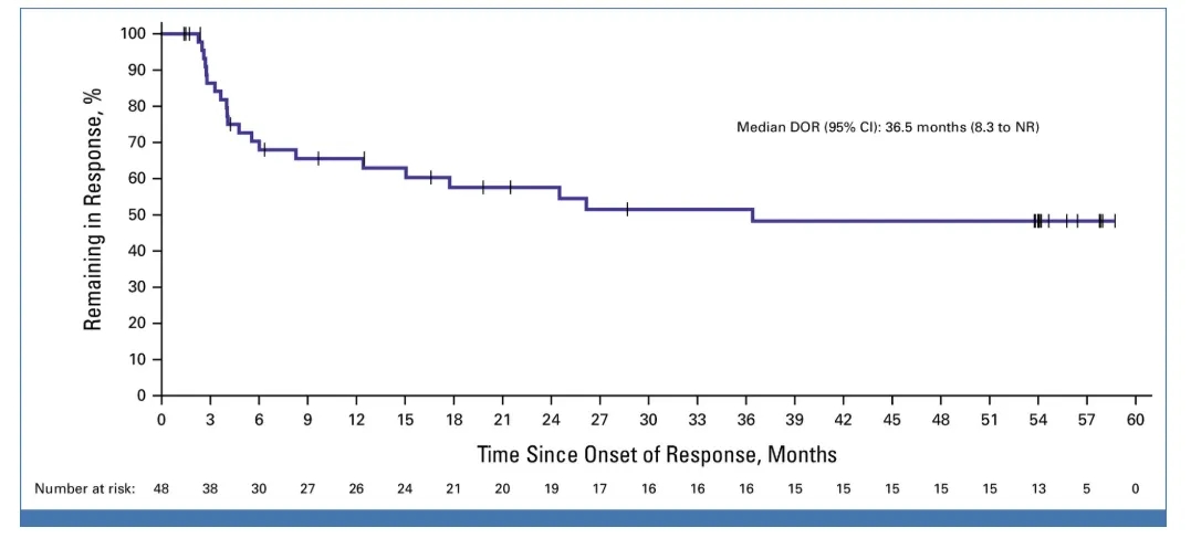 Lifileucel治疗黑色塑料的数据