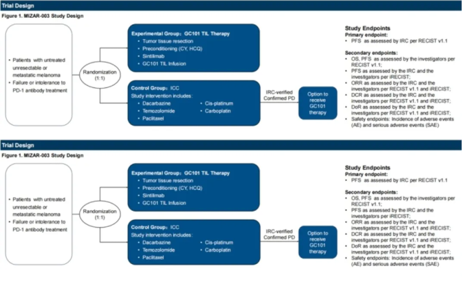 GC101TIL临床设计