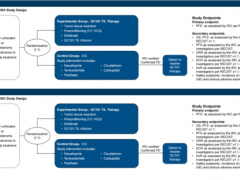 国研GC101TIL闪耀2025 ESMO-Asia大会：胰腺癌病灶大幅缩小70%，黑色素瘤迎减负新方案