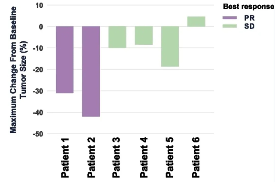 KT032的治疗数据