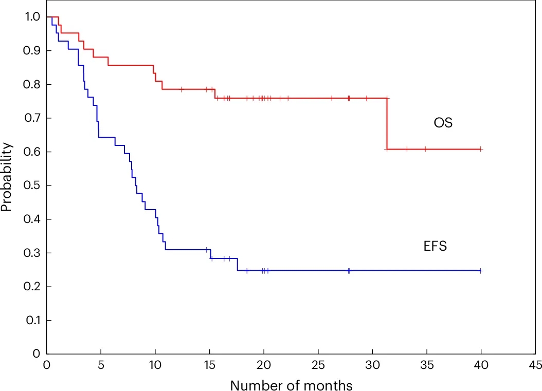 AFM13-NK细胞疗法治疗淋巴瘤的数据