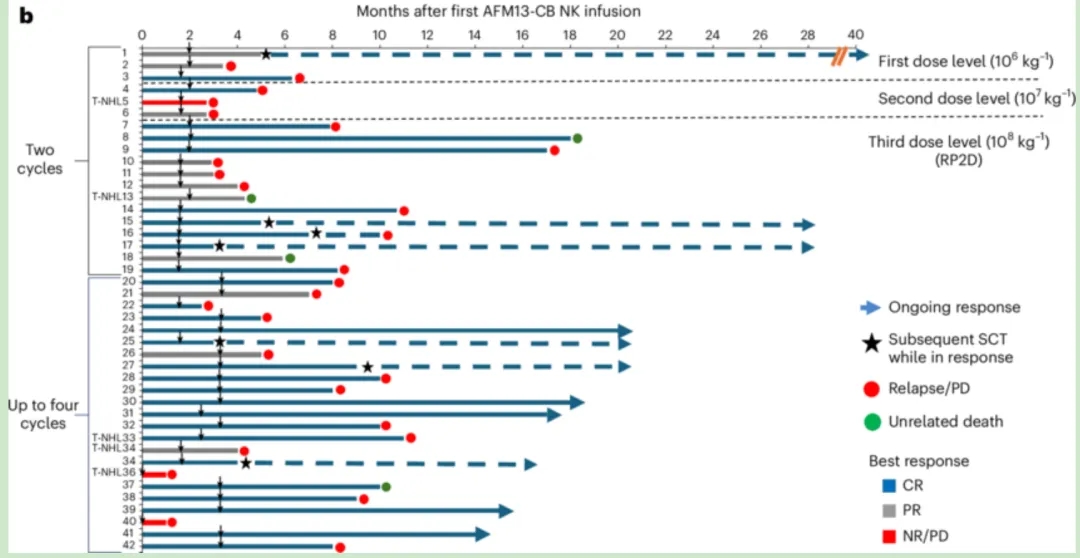 AFM13-NK细胞疗法治疗淋巴瘤的数据