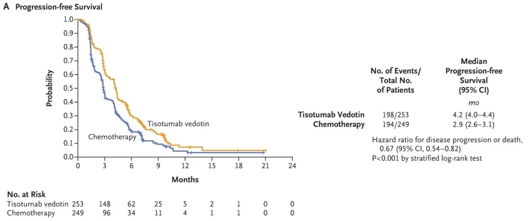 维替索妥尤单抗治疗宫颈癌的无进展生存期数据