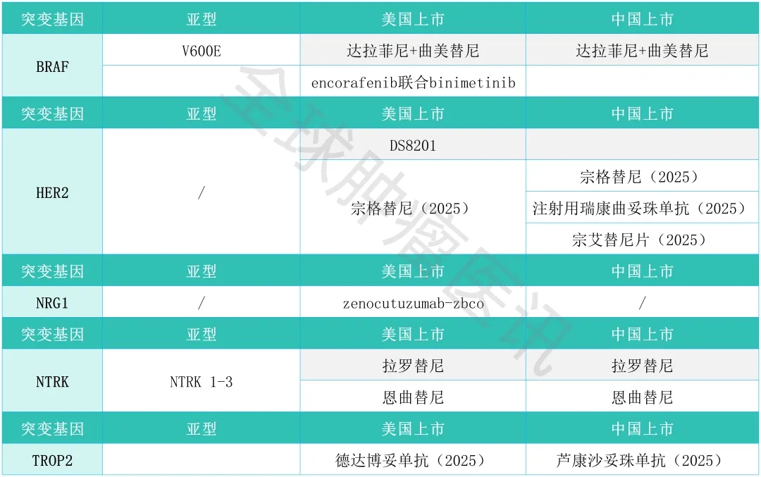 BRAF、HER2、NRG1、NTRK、TOP2靶向药