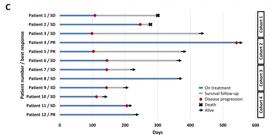 NK细胞疗法治疗肺癌的数据