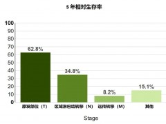 2026年肺癌患者必看：21款获批的肺癌新药+6大免疫黑科技，横扫八大靶点，临床治愈之路再提速