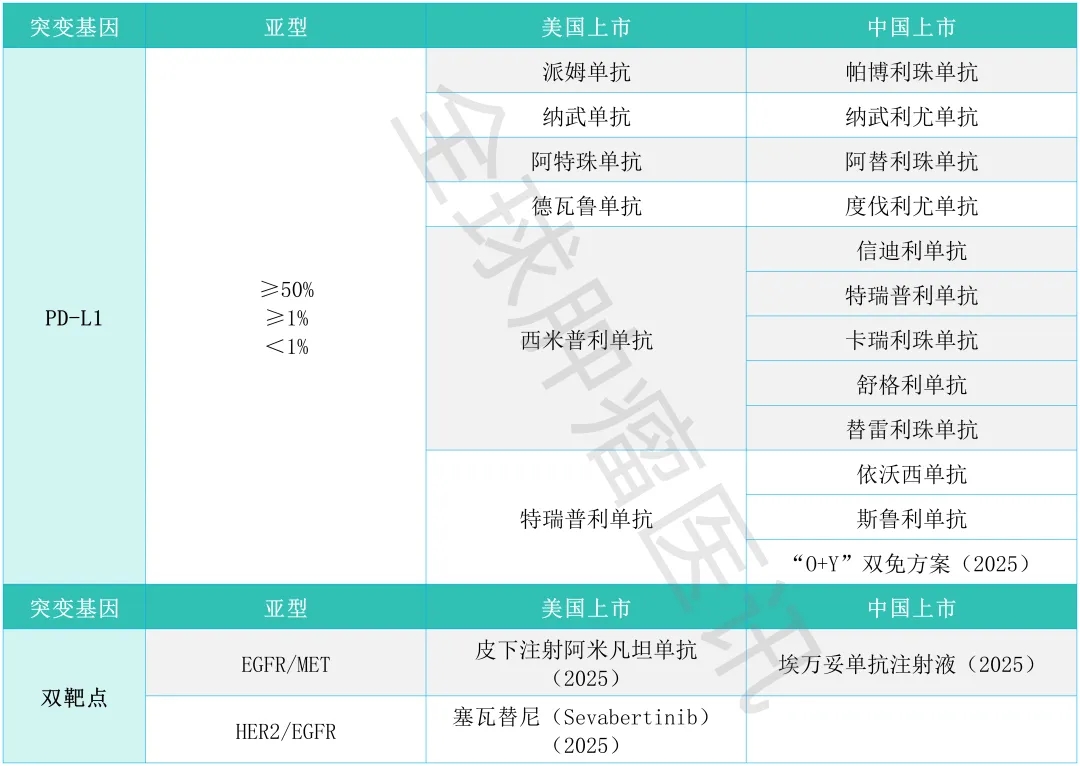 PD-L1和双靶点抑制剂