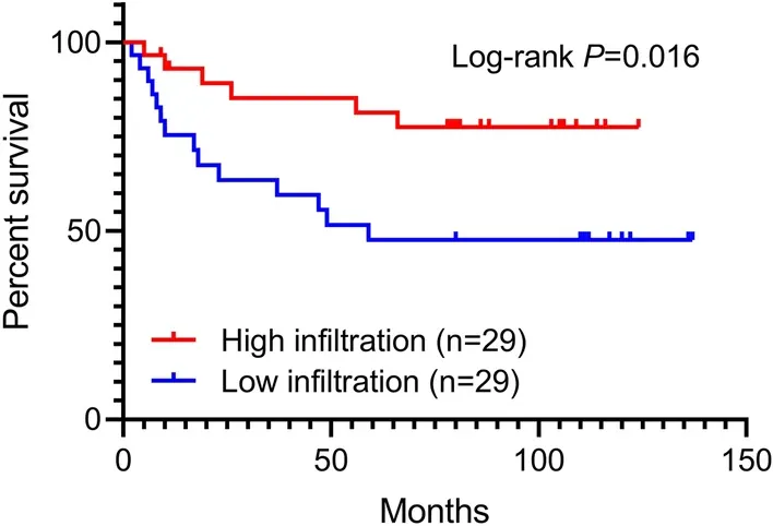 γδT细胞浸润与结直肠癌预后 γδT细胞浸润与结直肠癌预后