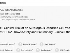 DC疫苗帮助HER2阳性肿瘤33%的患者实现逆转，卵巢癌2年无病生存，胃癌缩一半
