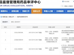 国研HDCD19 CAR-T递交上市申请，CART细胞疗法抗癌版图覆盖多癌种，总缓解率达100%