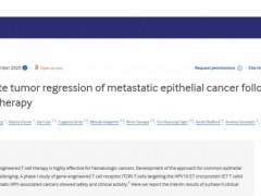 重磅突破！一次性TCRT细胞疗法攻克难治性癌症，2例完全缓解持续超8个月