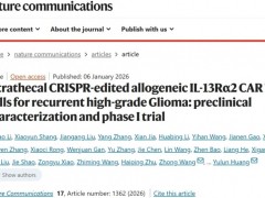 中国团队研发新型CAR-T细胞疗法MT026治疗胶质母细胞瘤，让80%患者肿瘤缩小，实现33个月长生存