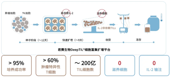 TIL细胞疗法治疗流程