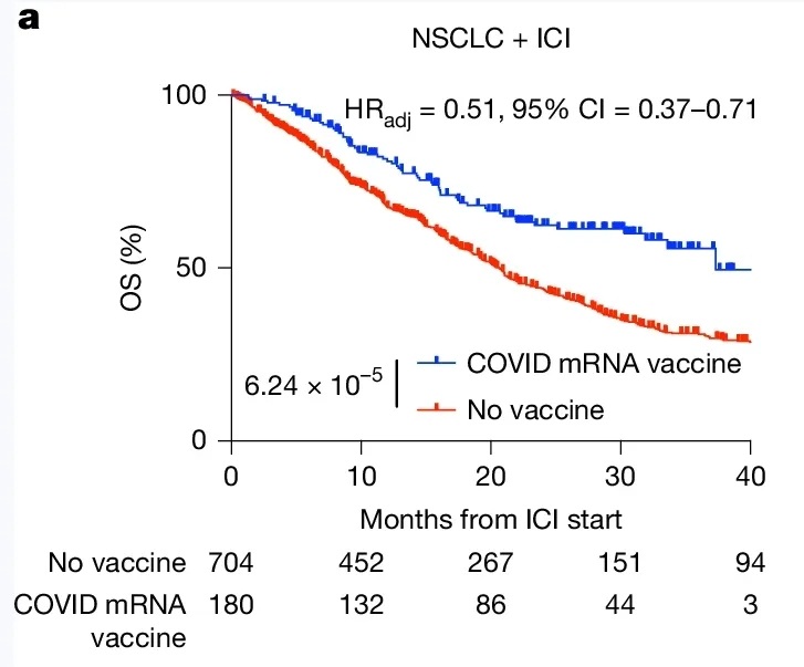 mRNA疫苗联合免疫治疗肺癌的数据